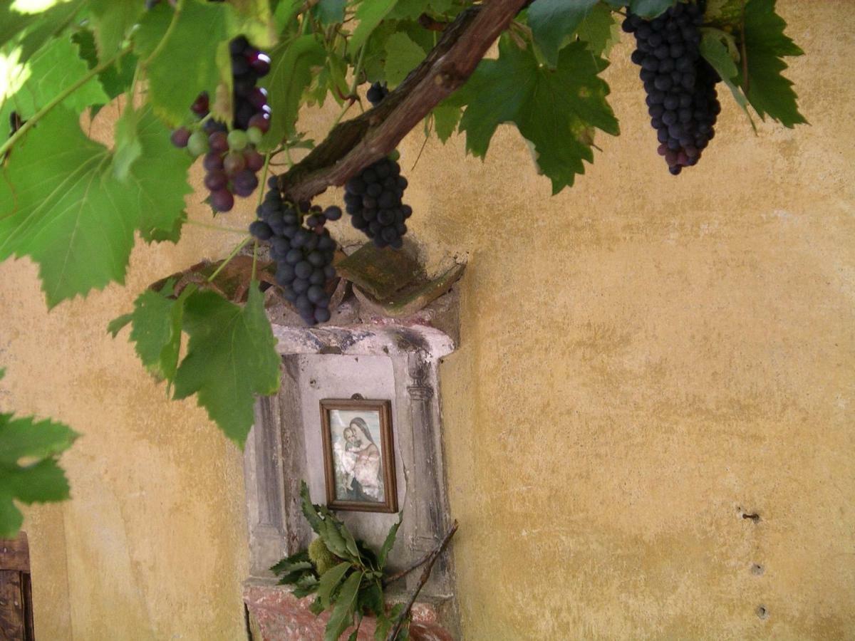 Casa 1659 - Casa Parrucchiere Villa Gandria Eksteriør billede